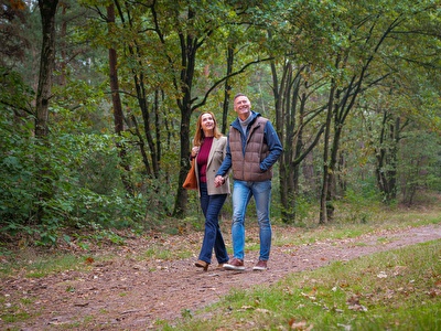 De grote Peel | National Park | Hotel Asteria Venray | Surroundings Venray