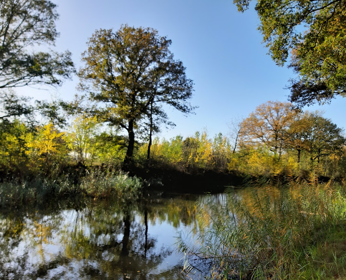 Fietsen in Noord-Limburg | Hotel Asteria Venray