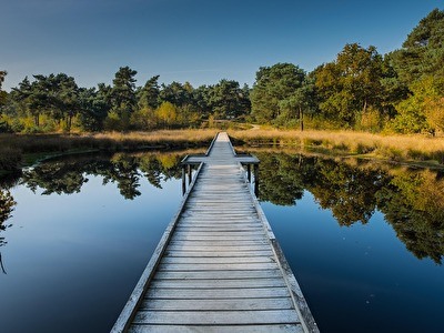 4-Tage Limburg Paket Hotel Asteria