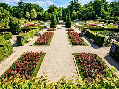 Luxe Lente Arrangement Asteria