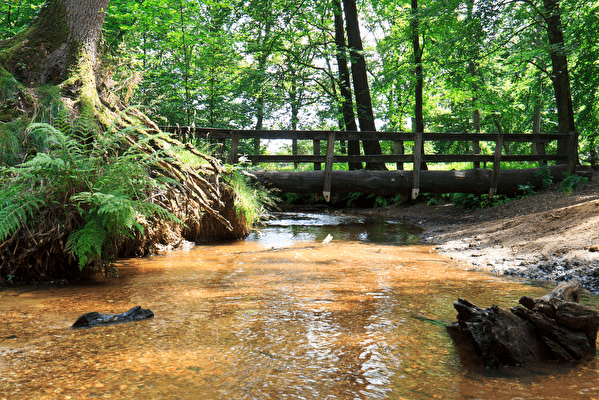 Places of interest North Limburg | Sightseeing | Hotel Asteria Venray